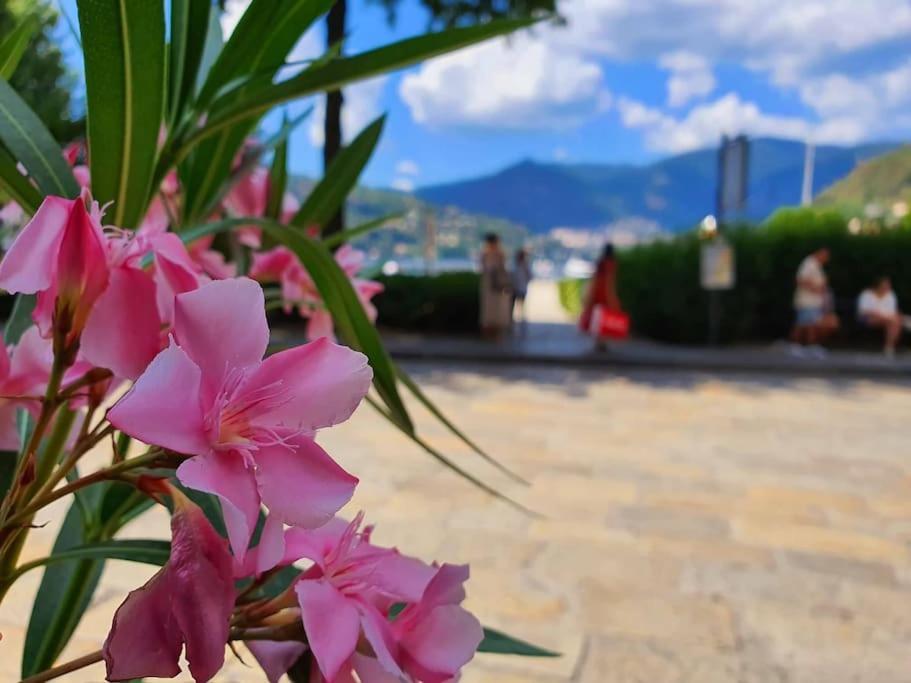 Plaza Deluxe Modern Center House - View Como Lake - Top Privacy 외부 사진